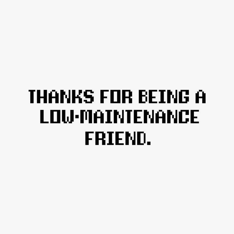 Hallmark Retro Digital Pet Funny Friendship Card