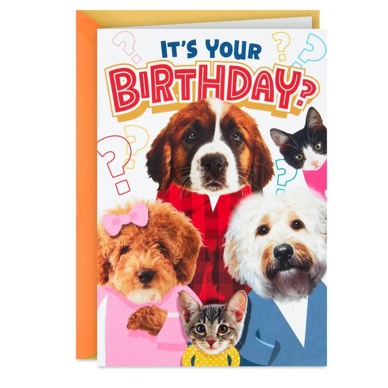 hallmark Round of Appaws Pop-Up Birthday Card