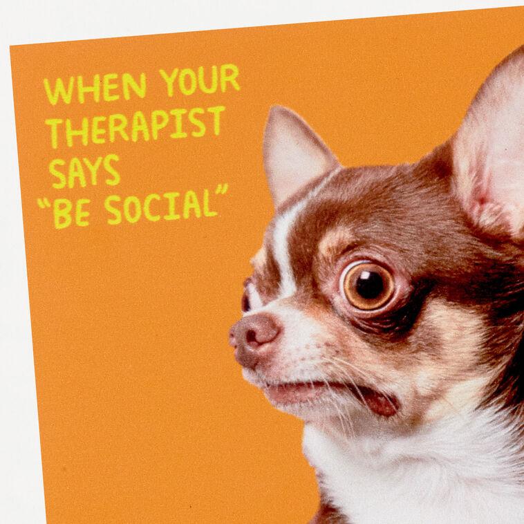 Hallmark Scared Chihuahua Photo Funny Coaster