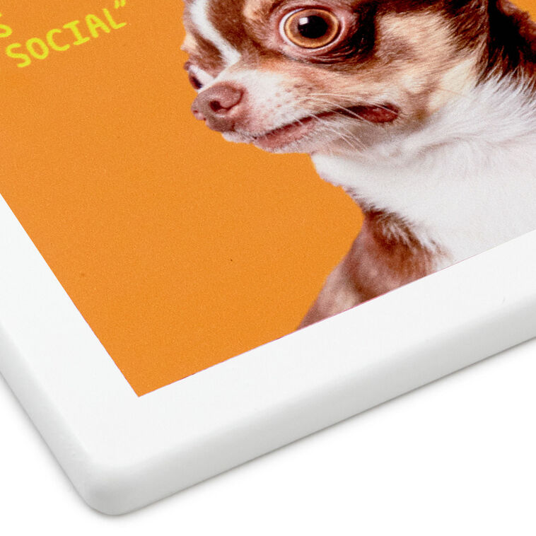 Hallmark Scared Chihuahua Photo Funny Coaster
