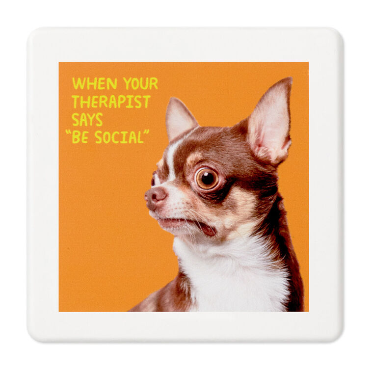 hallmark Scared Chihuahua Photo Funny Coaster