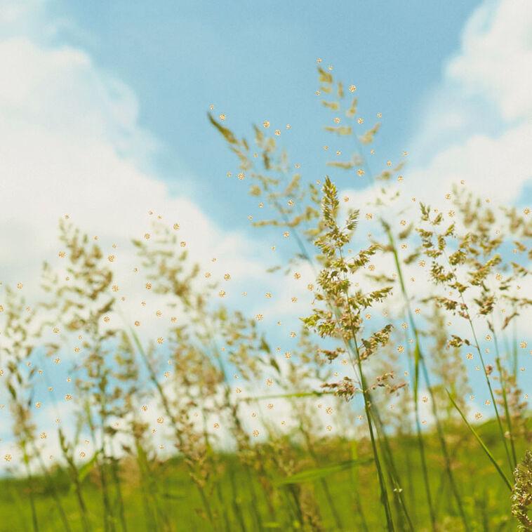 Hallmark Sending You Extra Love Encouragement Card