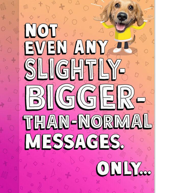 Hallmark Silly Dog Funny Pop-Up Birthday Card