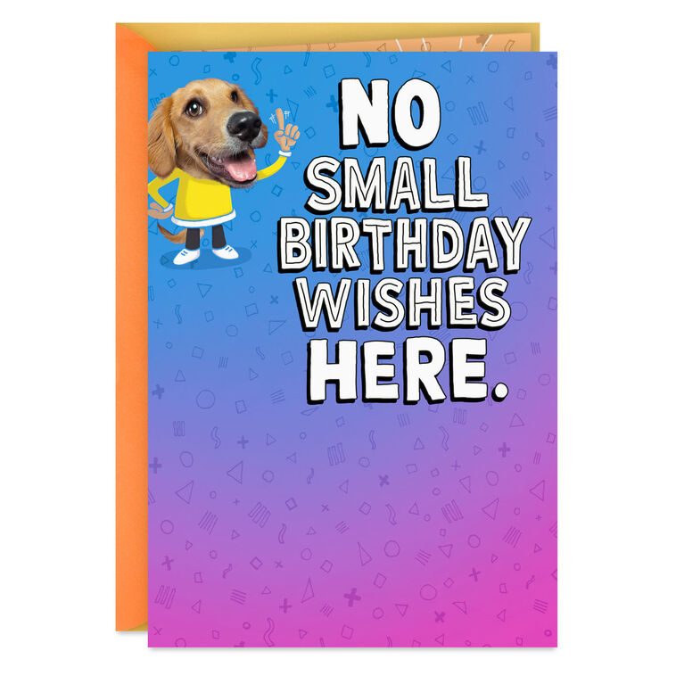hallmark Silly Dog Funny Pop-Up Birthday Card