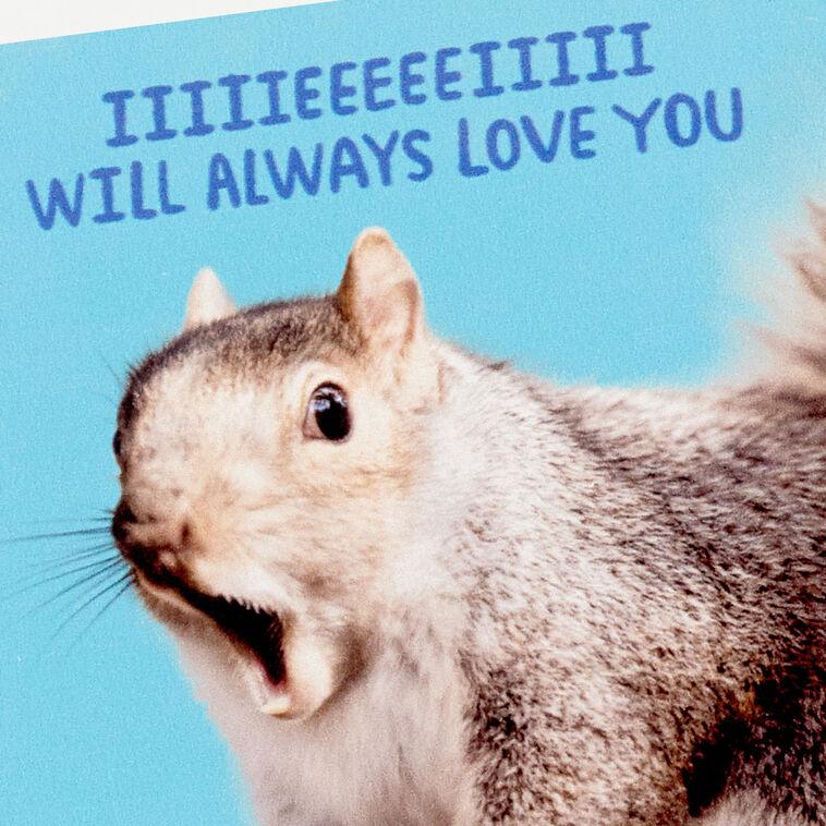 Hallmark Singing Squirrel Photo Funny Coaster