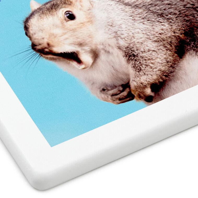 Hallmark Singing Squirrel Photo Funny Coaster