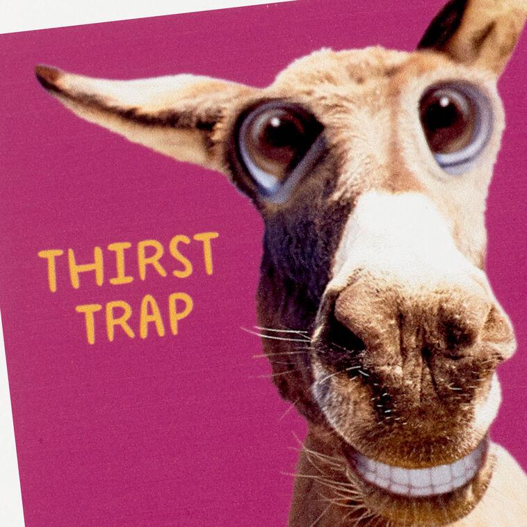 Hallmark Smiling Donkey Photo Funny Coaster