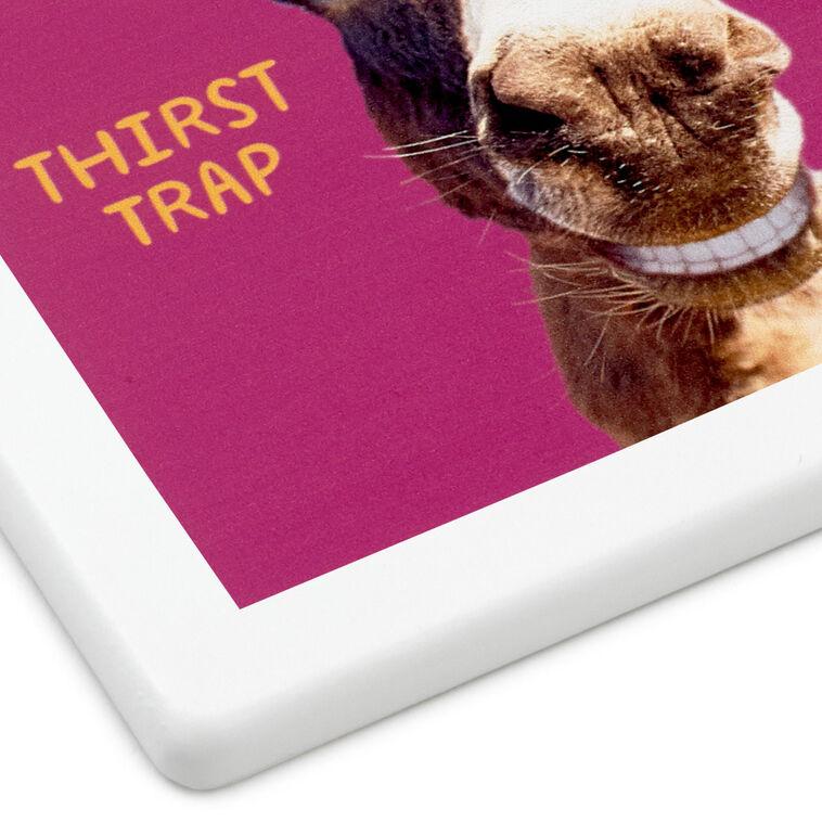 Hallmark Smiling Donkey Photo Funny Coaster