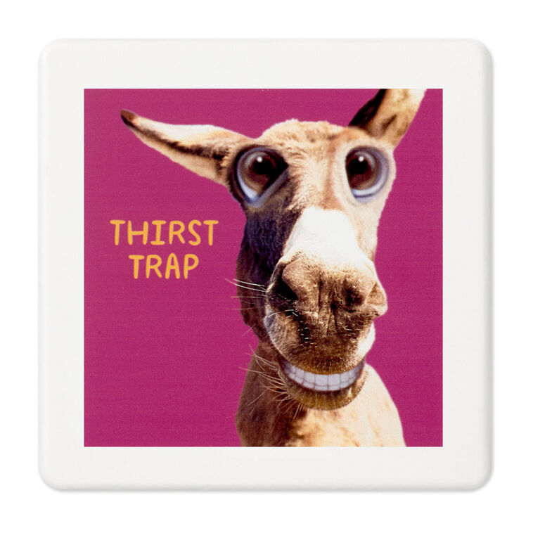 hallmark Smiling Donkey Photo Funny Coaster