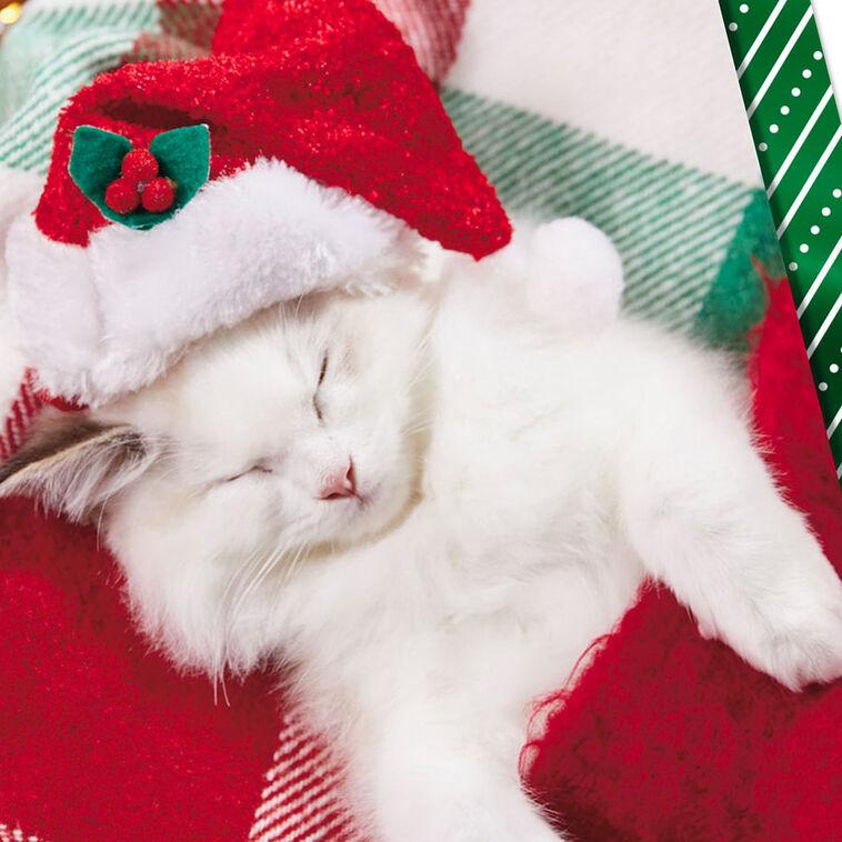 Hallmark Stay Cozy This Holiday Christmas Card