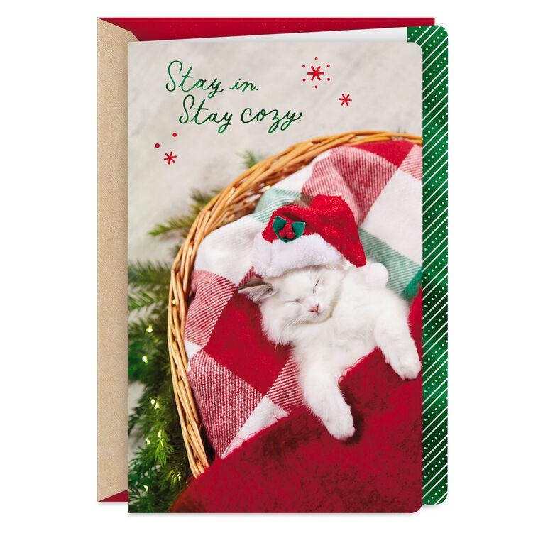hallmark Stay Cozy This Holiday Christmas Card