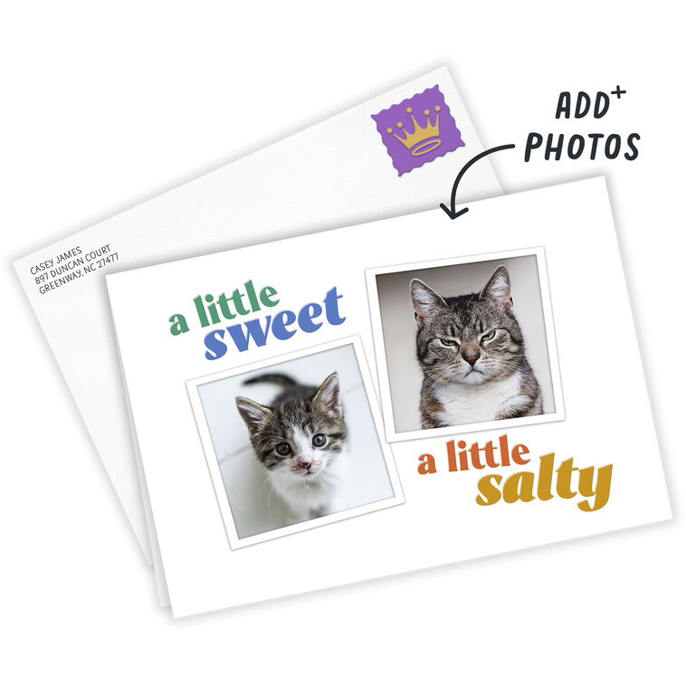 Hallmark Sweet And Salty Funny Custom Card