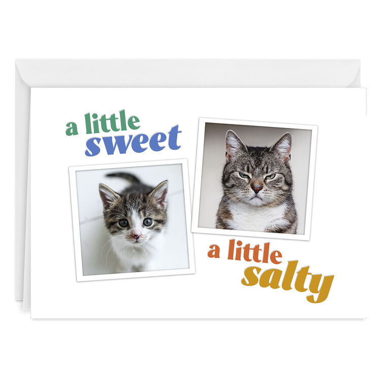 hallmark Sweet and Salty Funny Custom Card