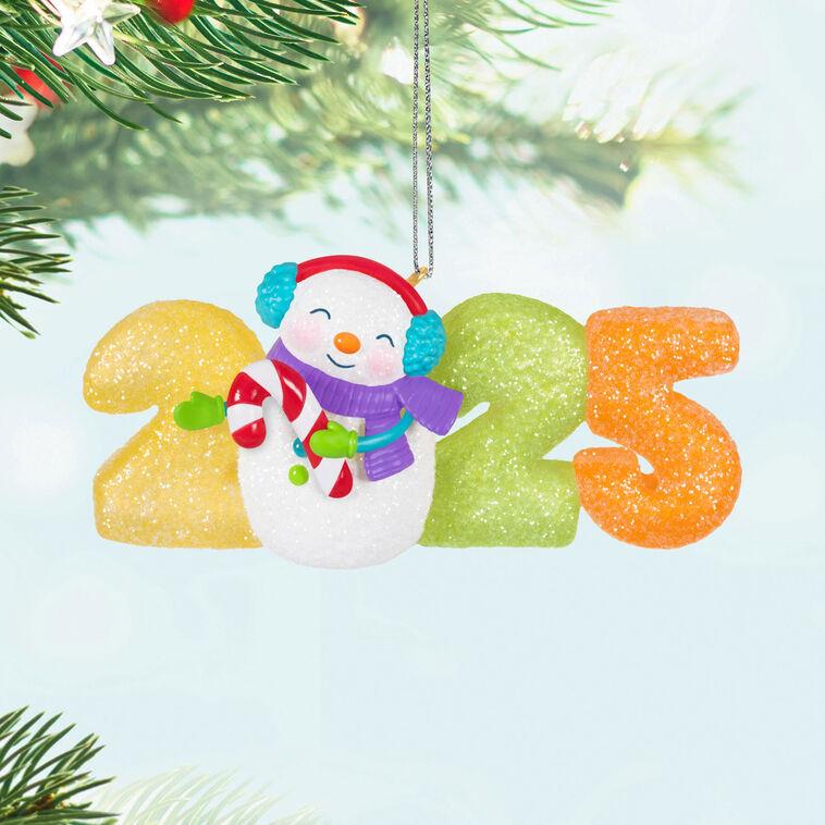Hallmark Sweet Decade 2025 Ornament