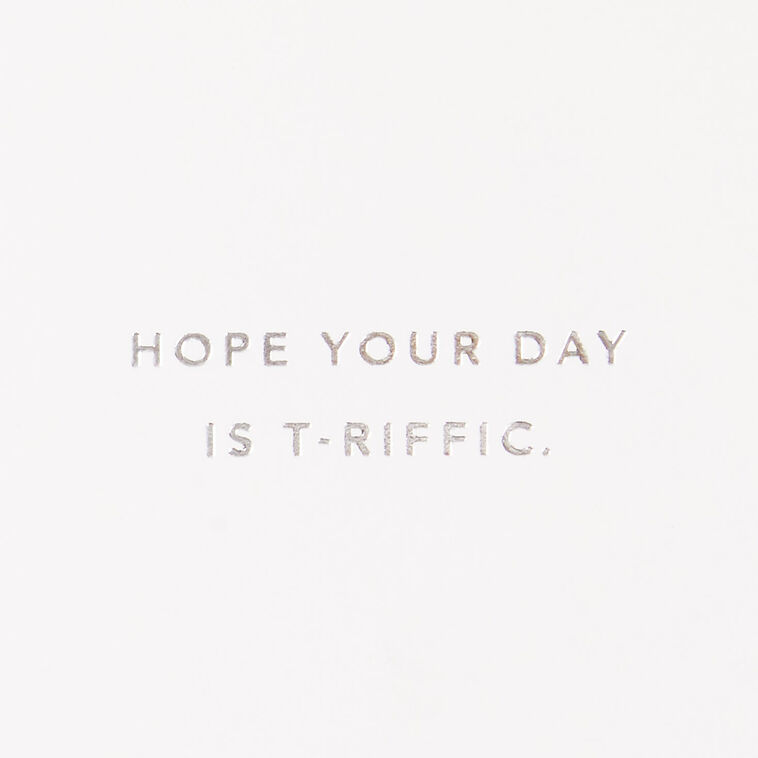 Hallmark T-Riffic Day Birthday Card