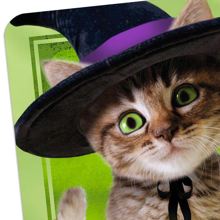 Hallmark Tabby Cat In Witch Hat Halloween Card