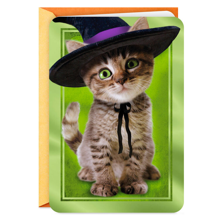 hallmark Tabby Cat in Witch Hat Halloween Card