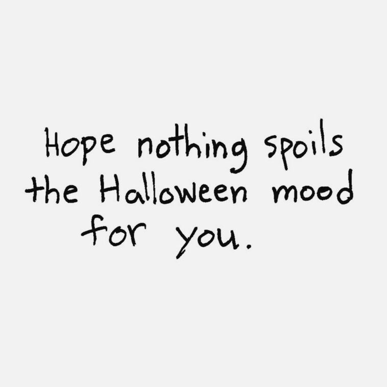Hallmark Terrifying Cat Funny Halloween Card