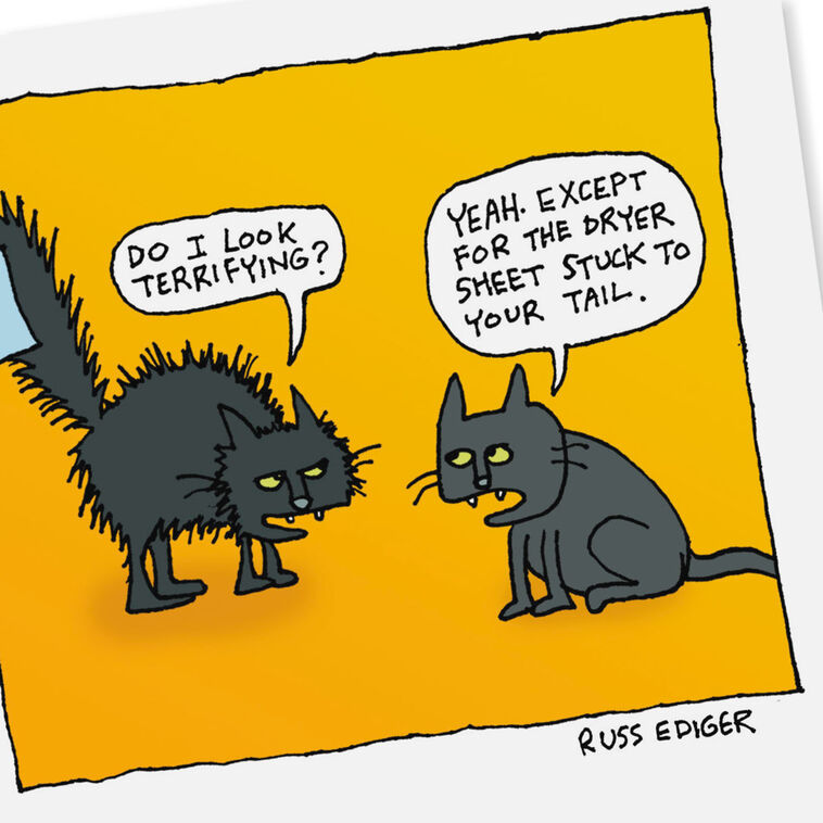 Hallmark Terrifying Cat Funny Halloween Card