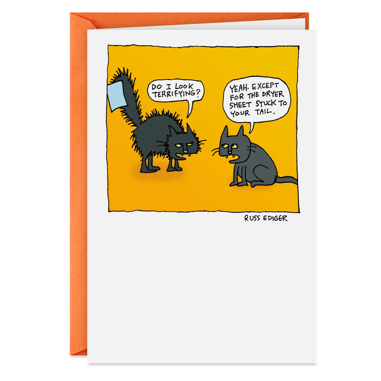 hallmark Terrifying Cat Funny Halloween Card