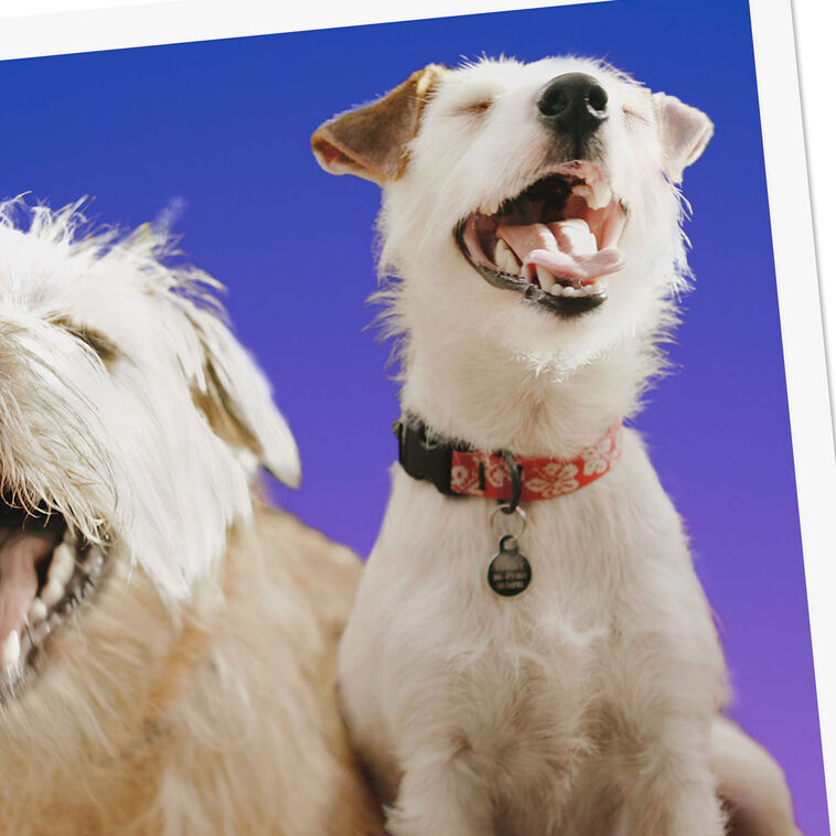 Hallmark That One Friend Funny Friendship Card