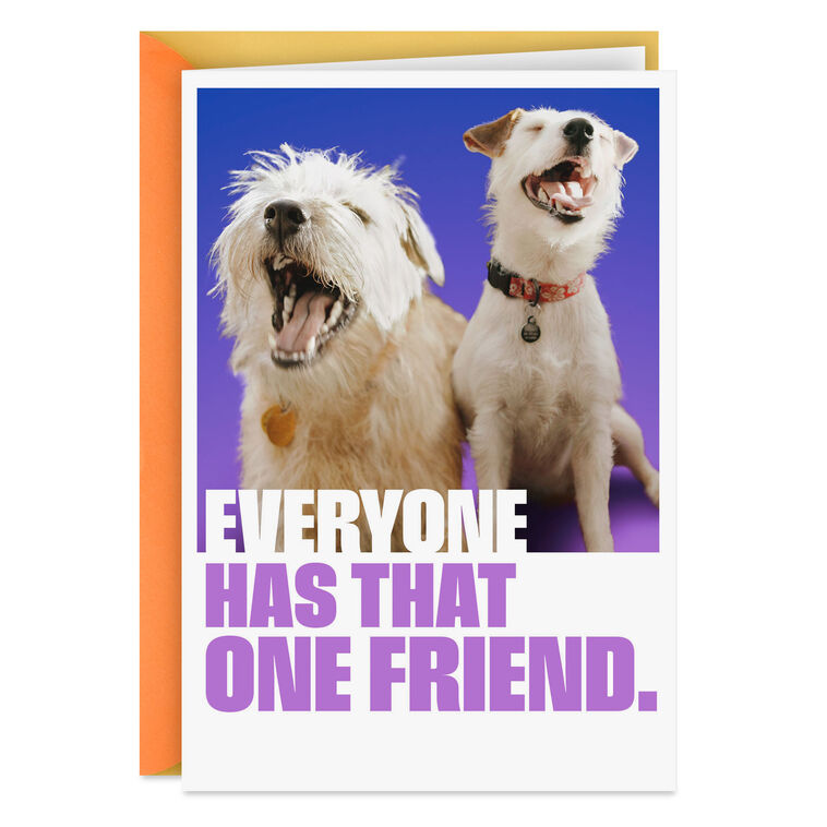 hallmark That One Friend Funny Friendship Card