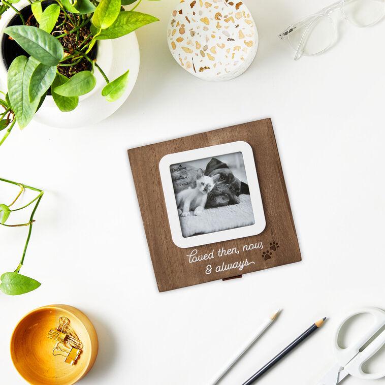 Hallmark Then Now And Always Pet Memory Box