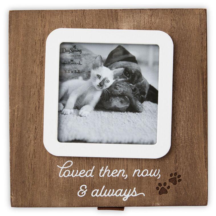 Hallmark Then Now And Always Pet Memory Box