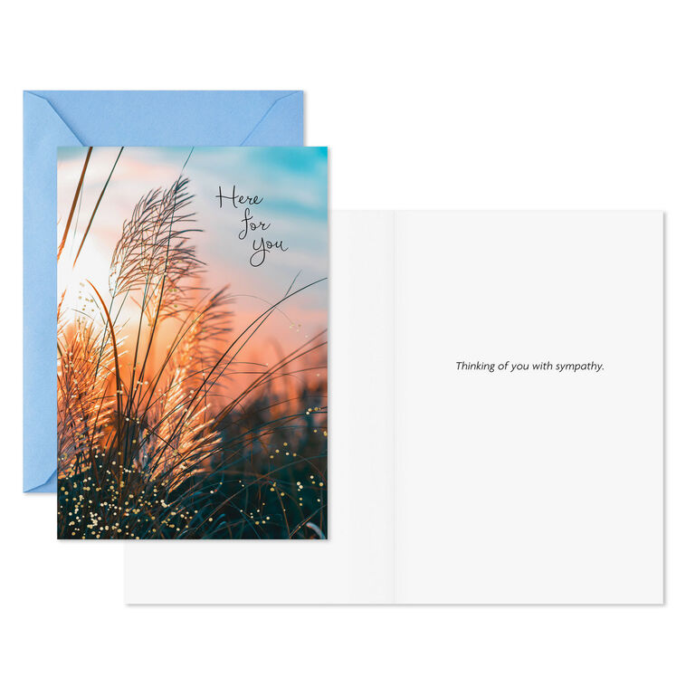 Hallmark Tranquil Nature Sympathy Cards Pack Of 10