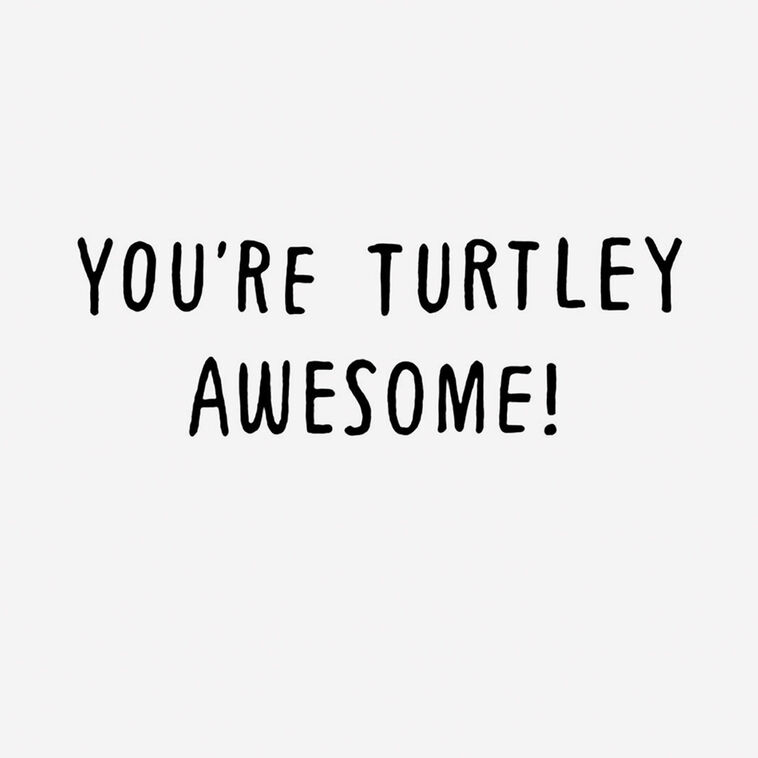 Hallmark Turtley Awesome Funny Card