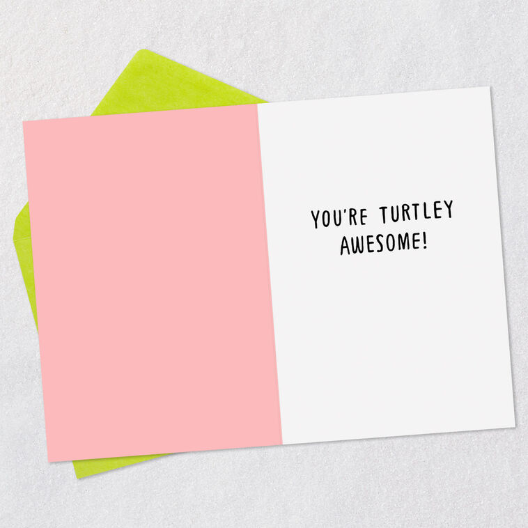 Hallmark Turtley Awesome Funny Card