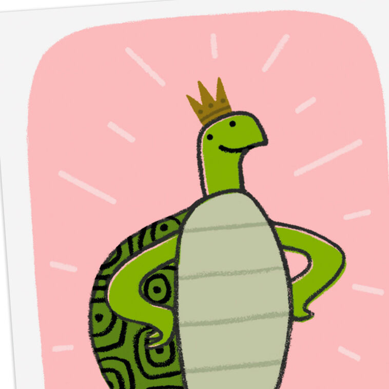 Hallmark Turtley Awesome Funny Card