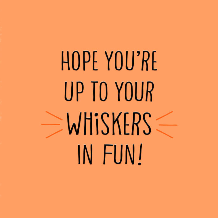 Hallmark Up To Your Whiskers In Fun Halloween Card