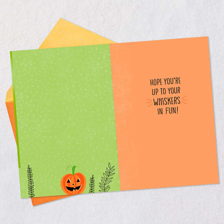 Hallmark Up To Your Whiskers In Fun Halloween Card