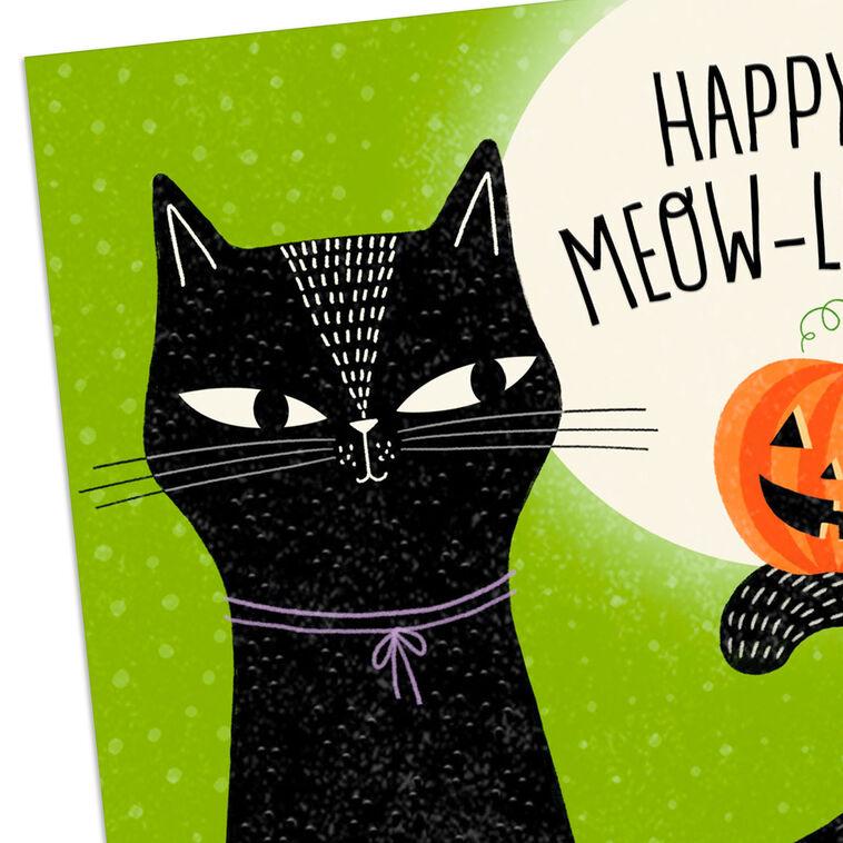 Hallmark Up To Your Whiskers In Fun Halloween Card