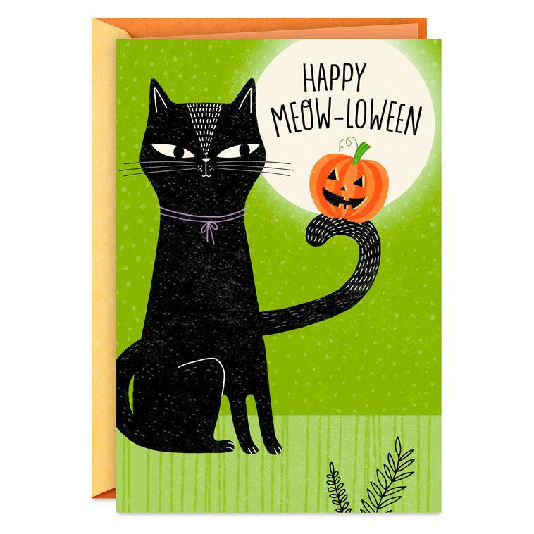 hallmark Up to Your Whiskers in Fun Halloween Card