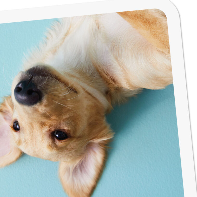 Hallmark What's Happening In Your World Blank Card