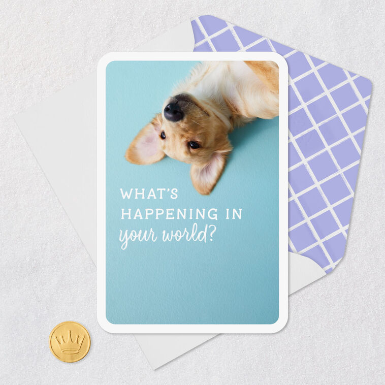 Hallmark What's Happening In Your World Blank Card