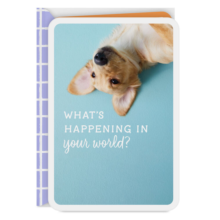 hallmark What's Happening in Your World Blank Card