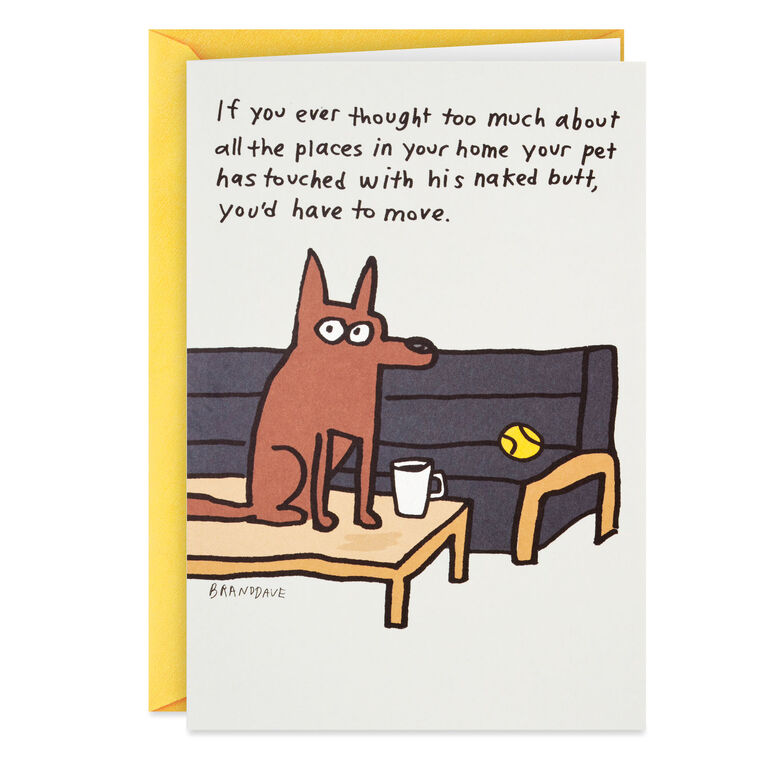 hallmark Where the Dog Sits Funny Birthday Card