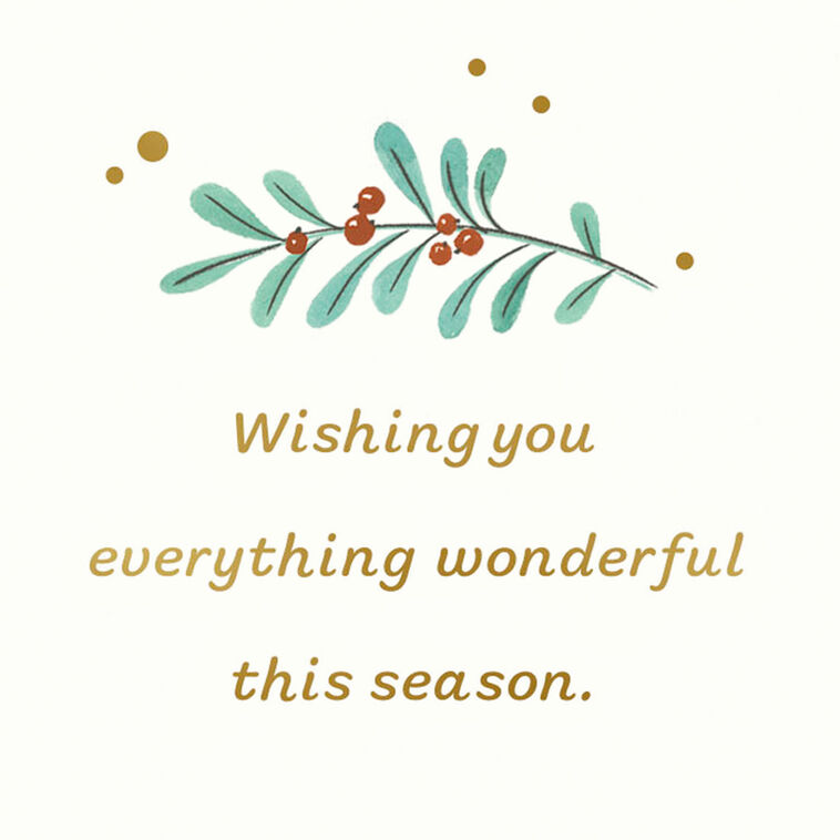 Hallmark Wonder And Joy Money Holder Holiday Card