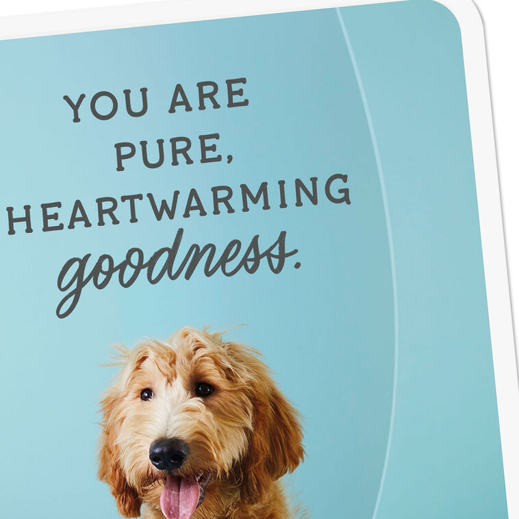Hallmark You Are Pure Goodness Thank You Card