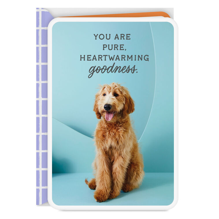 hallmark You Are Pure Goodness Thank You Card