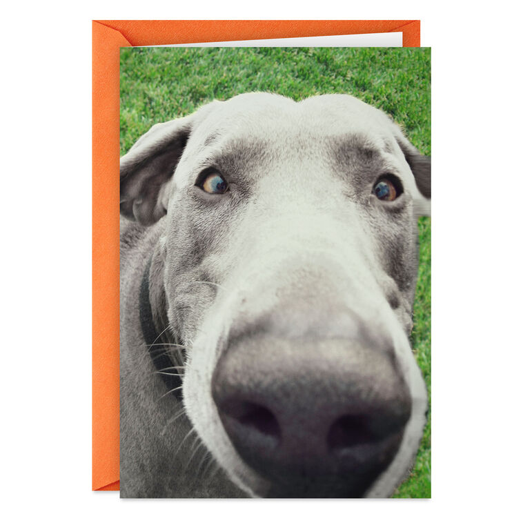 hallmark You Don't Smell Old Funny Birthday Card