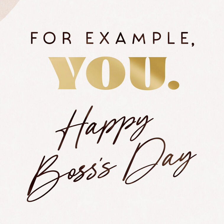 Hallmark You Lead By Example Boss's Day Card