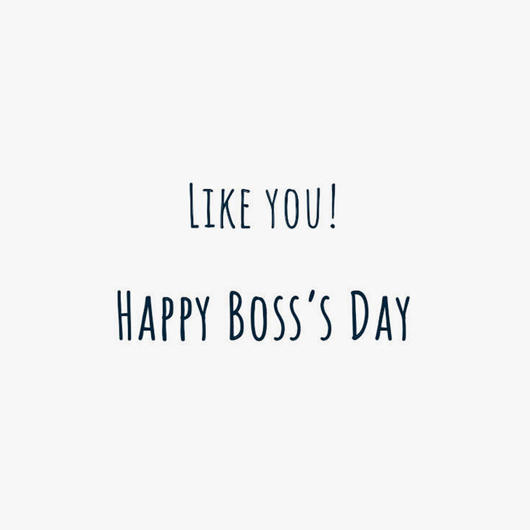 Hallmark You Make A Difference Boss's Day Card