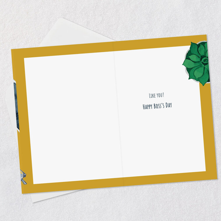 Hallmark You Make A Difference Boss's Day Card