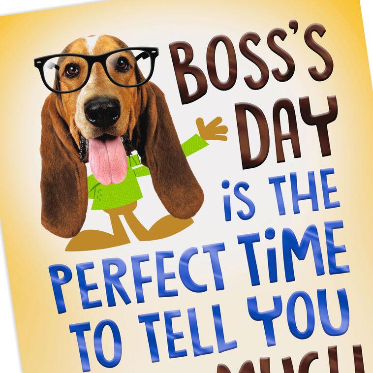 Hallmark You Not Mean Funny Boss's Day Card