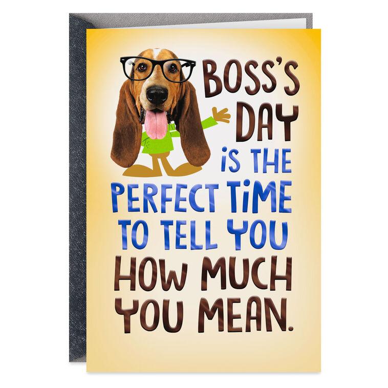 hallmark You Not Mean Funny Boss's Day Card