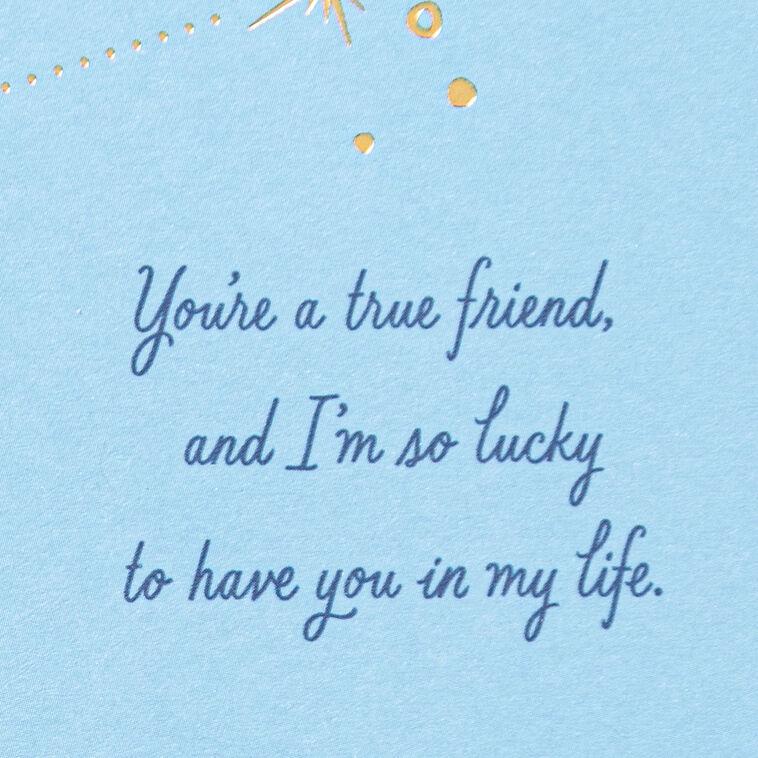 Hallmark You're A True Friend Friendship Card